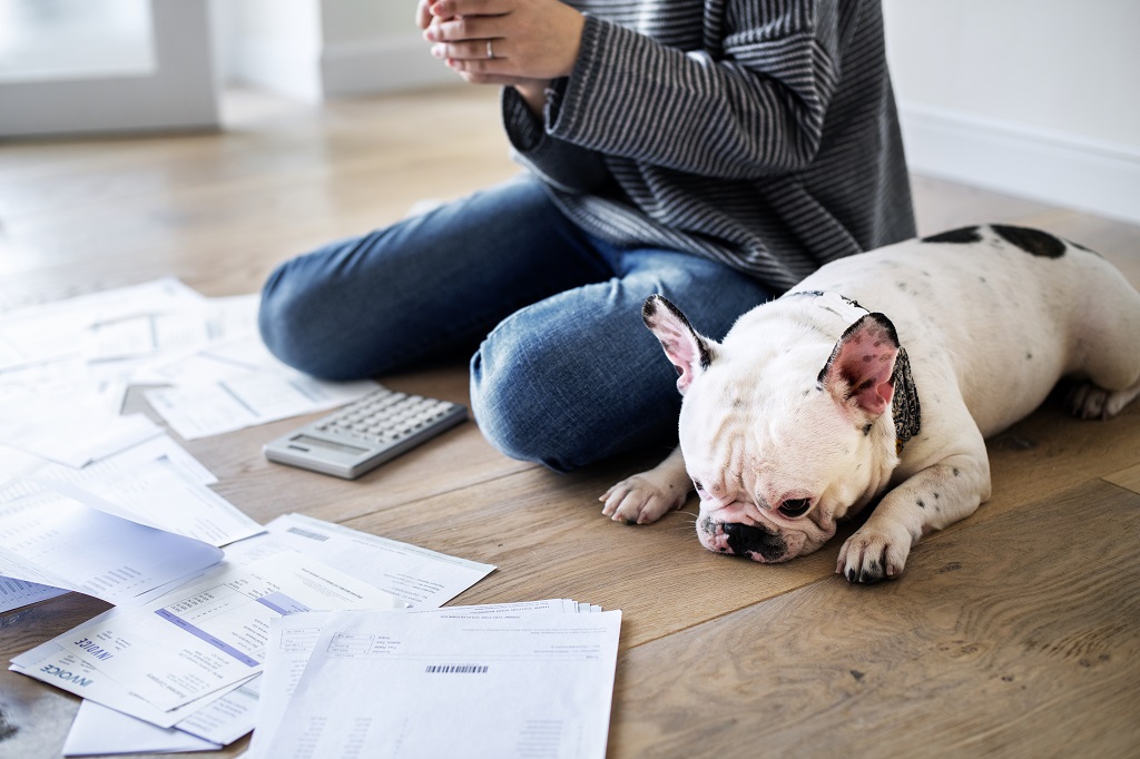 woman learning about debt consolidation with her dog