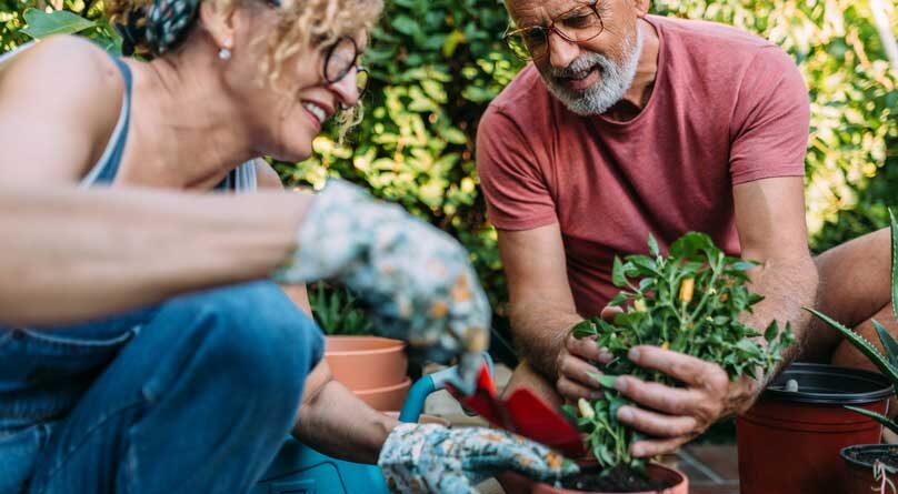 Older couple planting seeds in garden