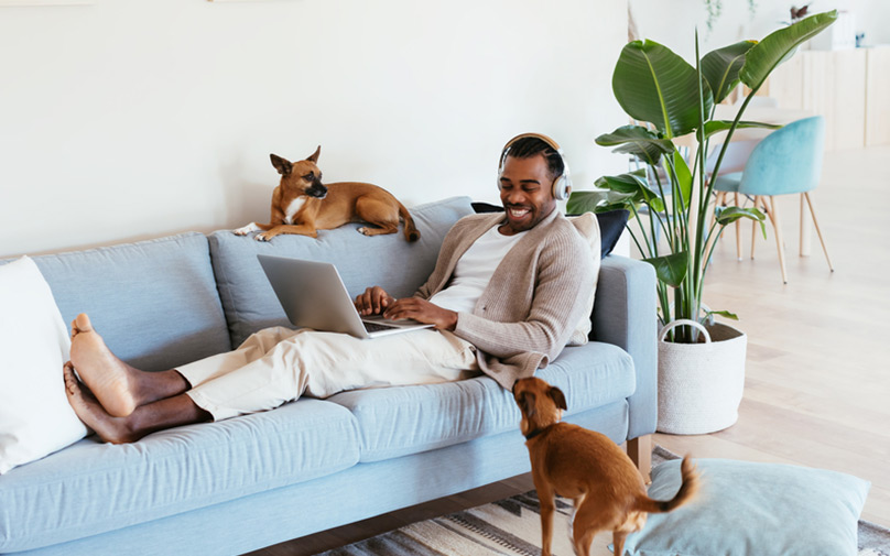 Happy man with his dogs, laying on his couch