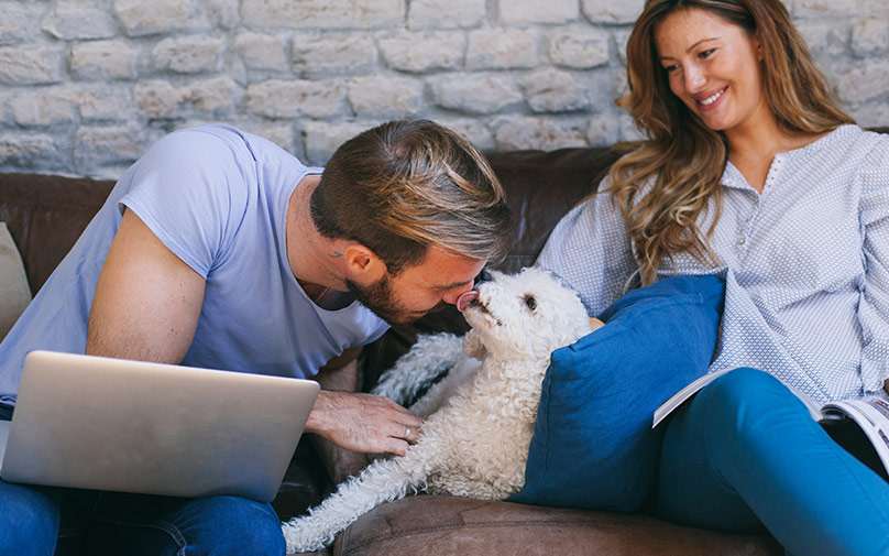 Man distracted from computer from his dog